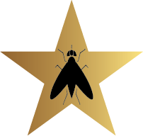Drain fly control Sydney icon
