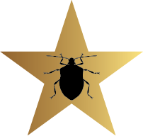 Stink bug control Sydney icon
